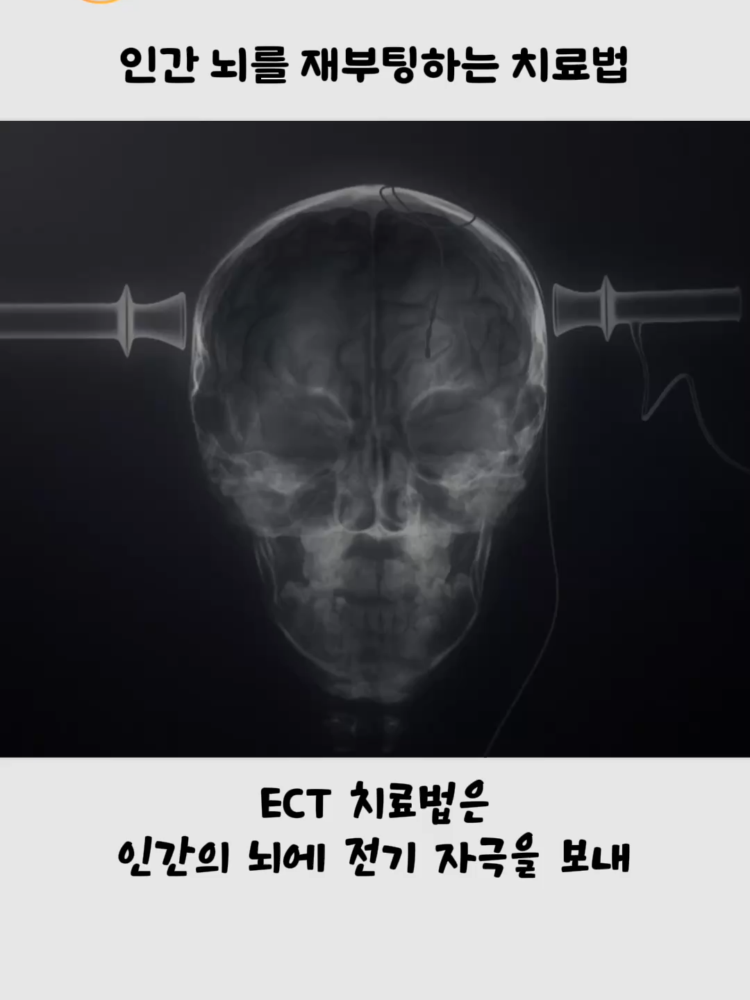 @호랑구팔