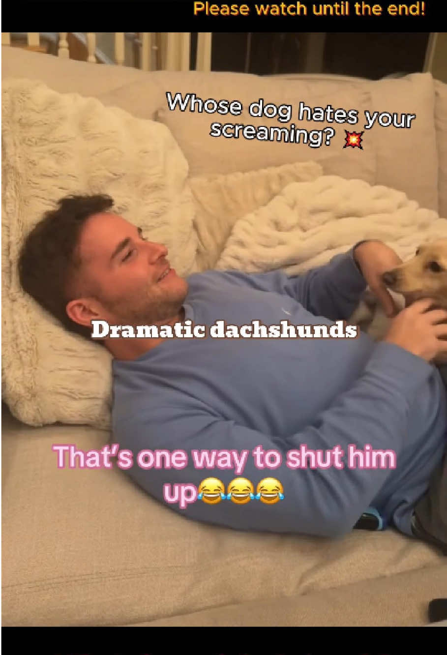 @pet.funny799