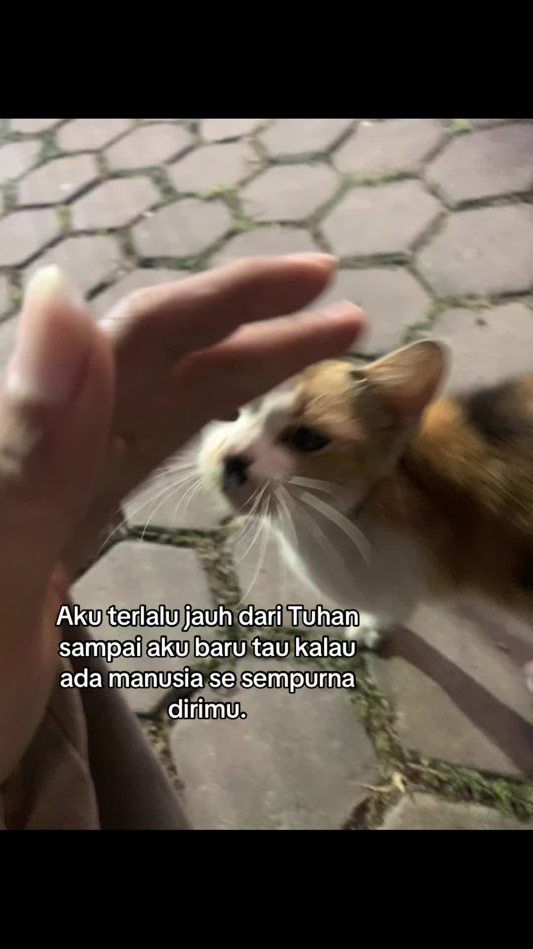 @saka