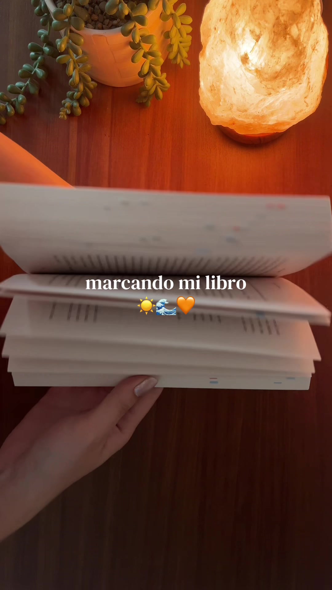 @carol 💌