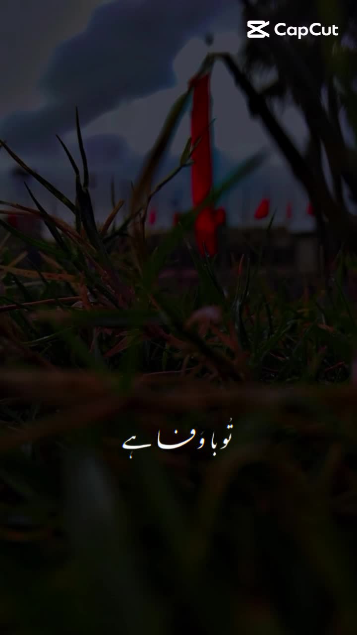 @Syed badshah 121472