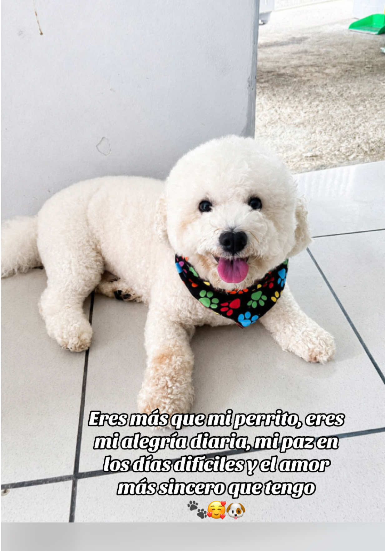 @ojitosjcd