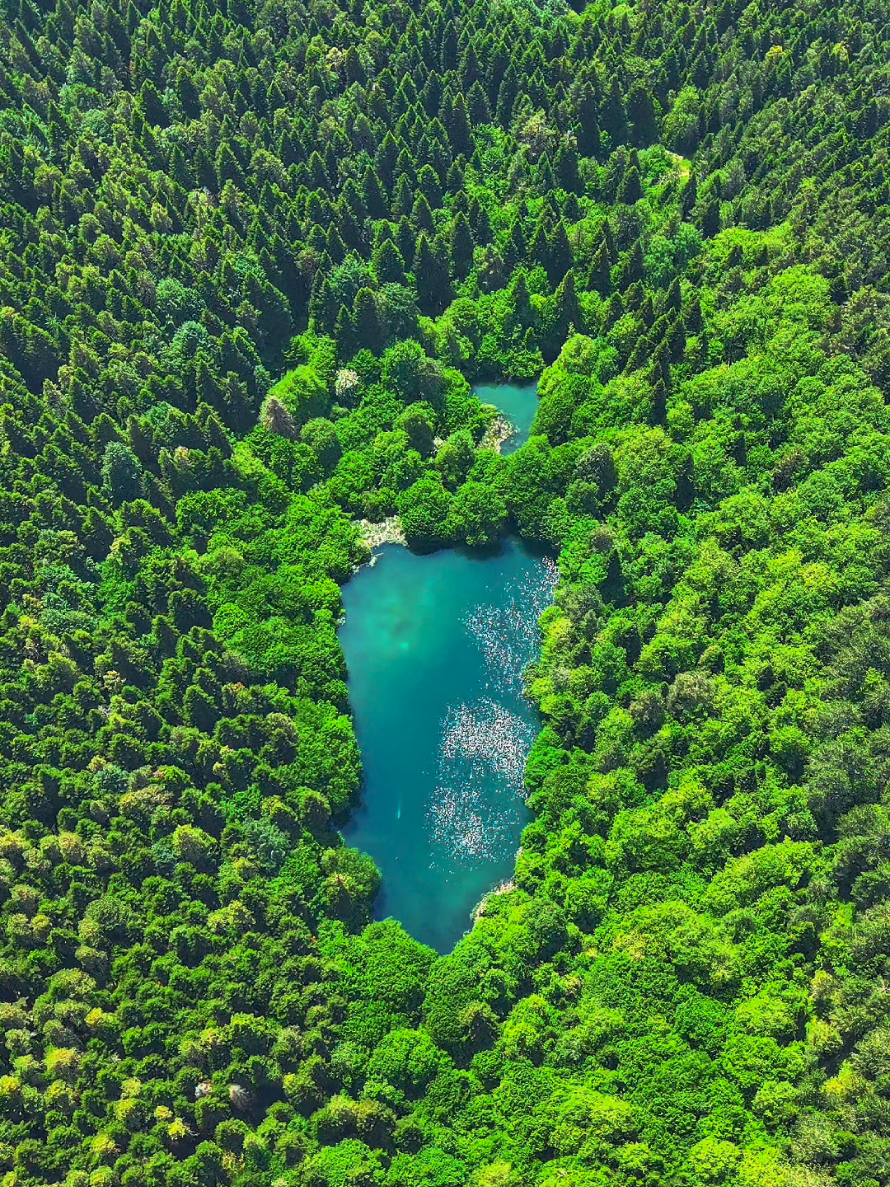 @Muhammed karakuş