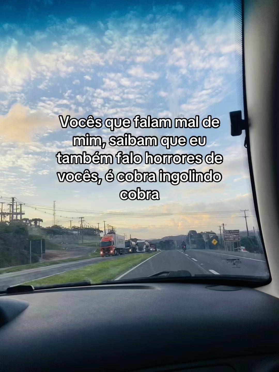 @hey.castanho🐻