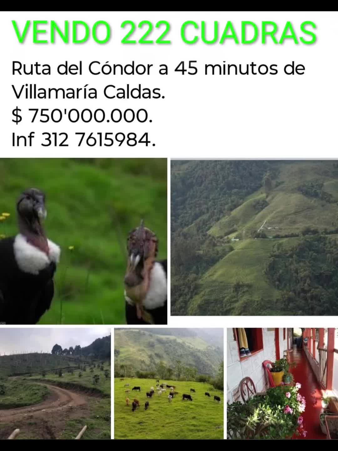 @franciscojavierar599