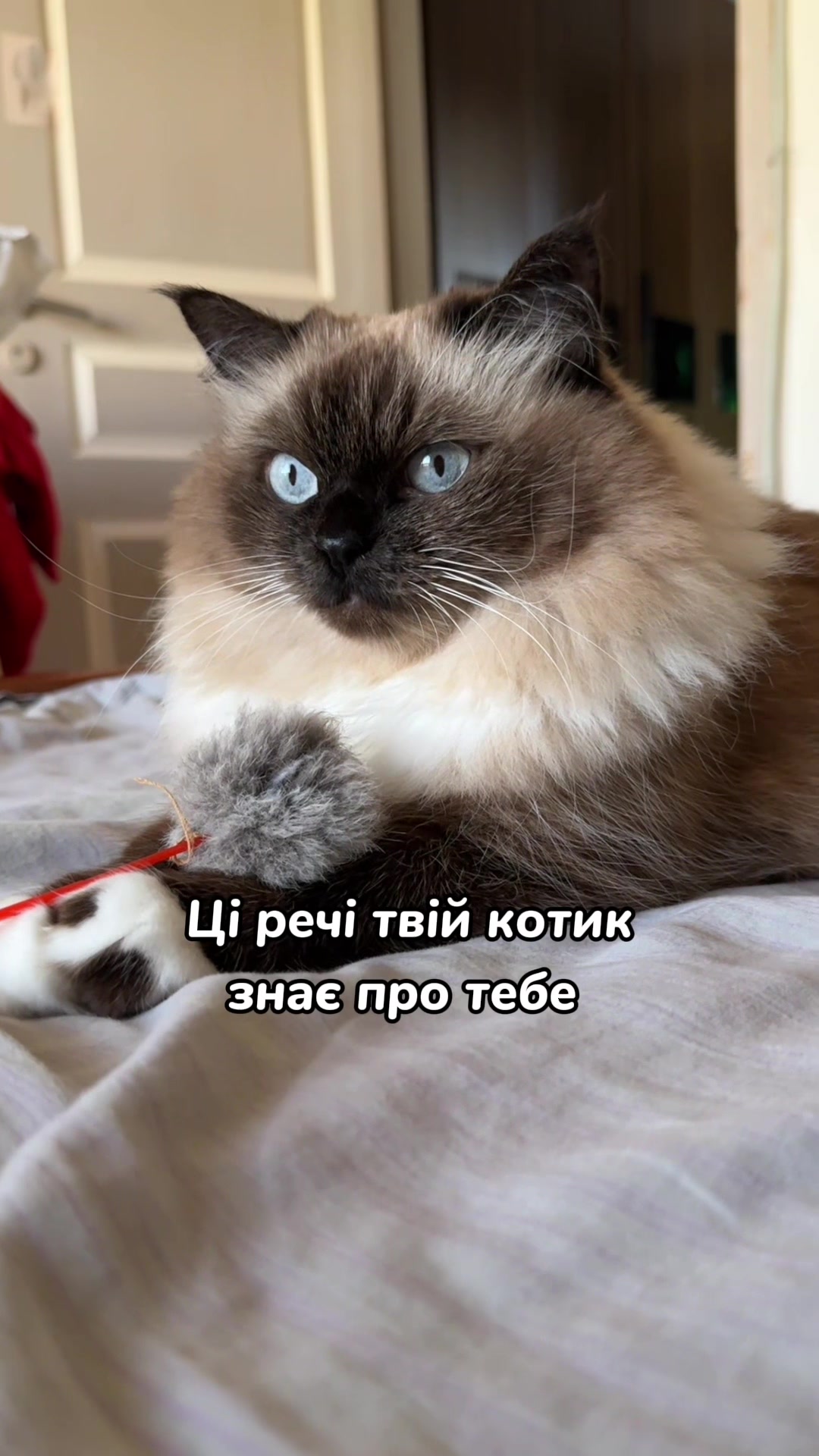 @Місс КІСЯ