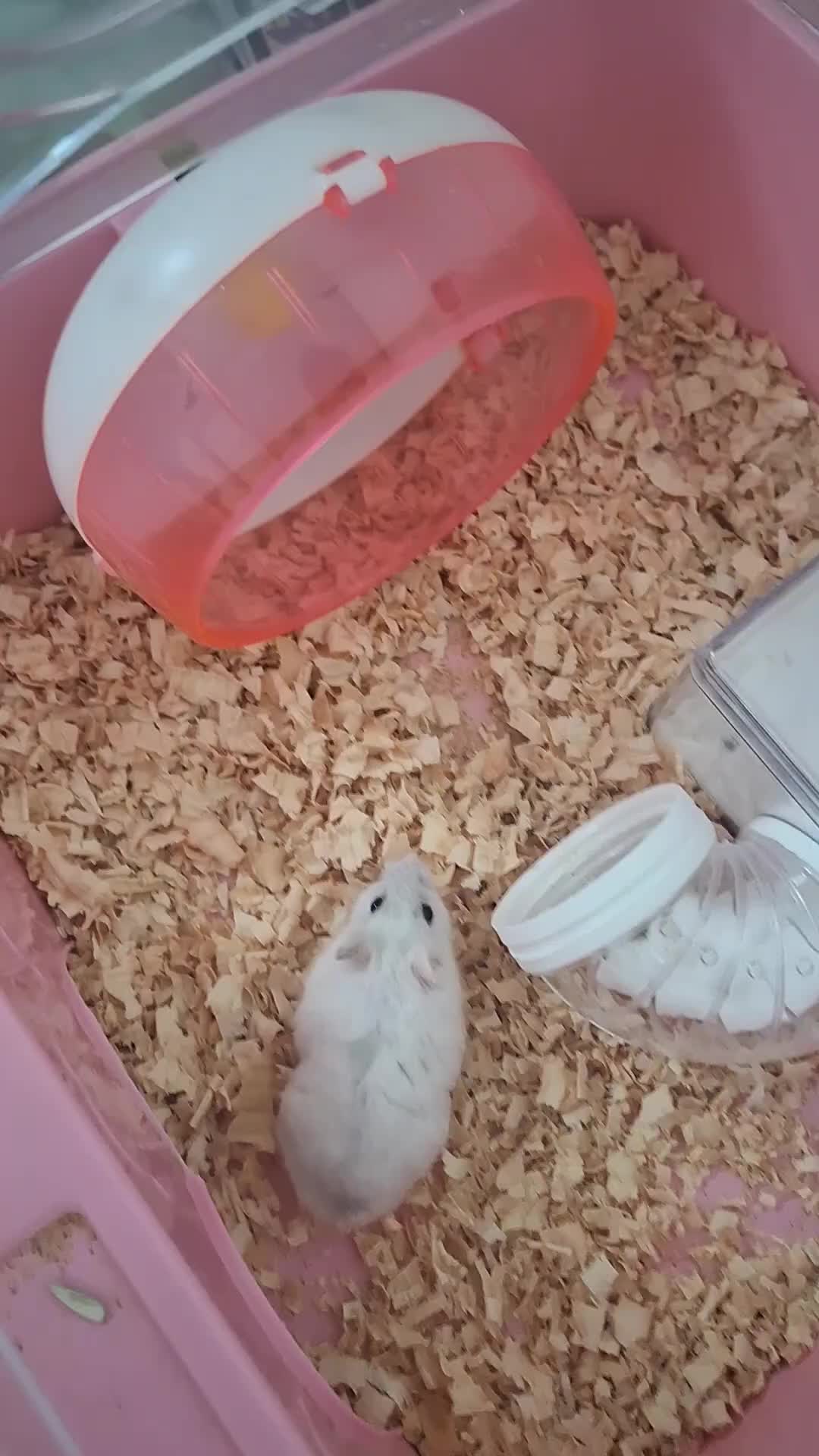 @땡이맘/헤어톡