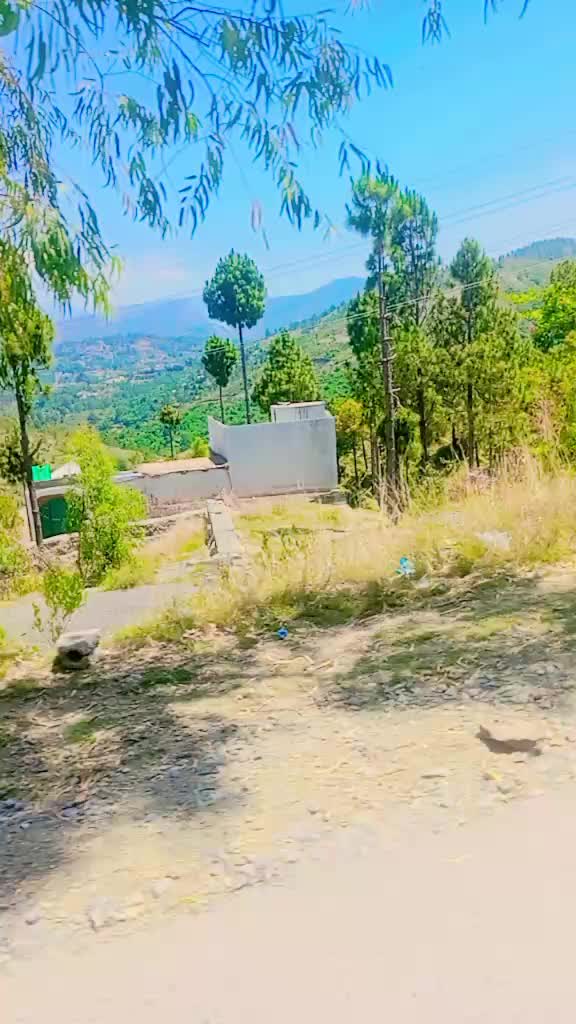 @khizzar malik 7290