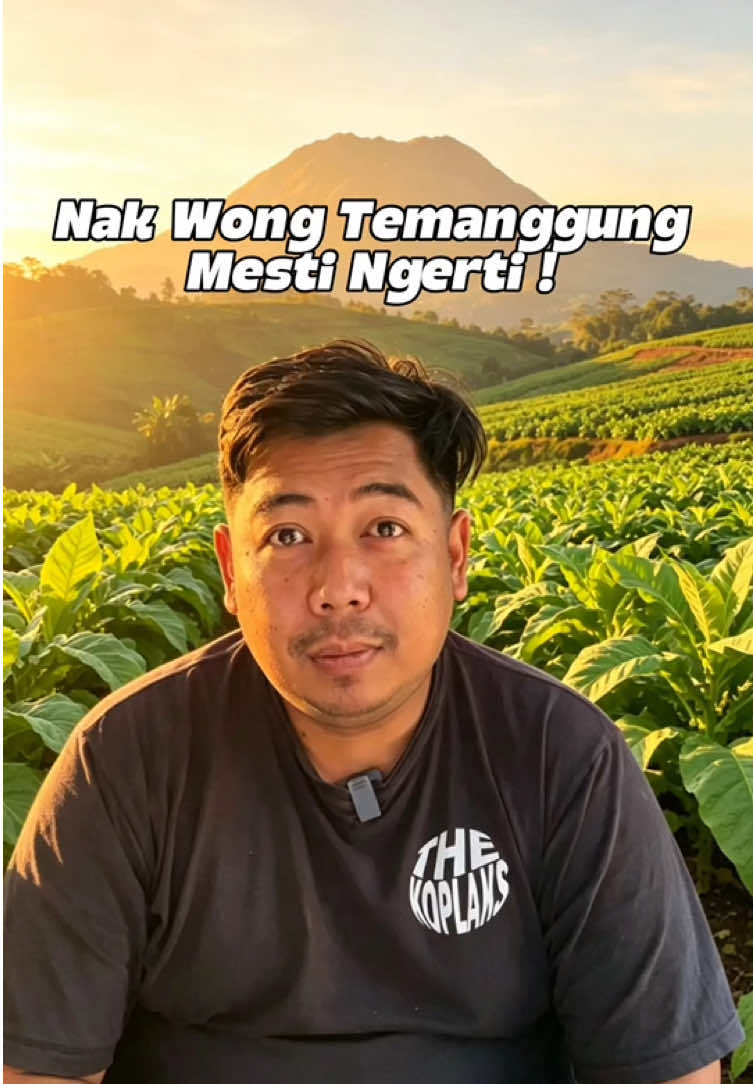 @Wiwin Koplak