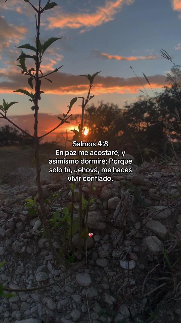 @📸brailin.96 🍂🌄