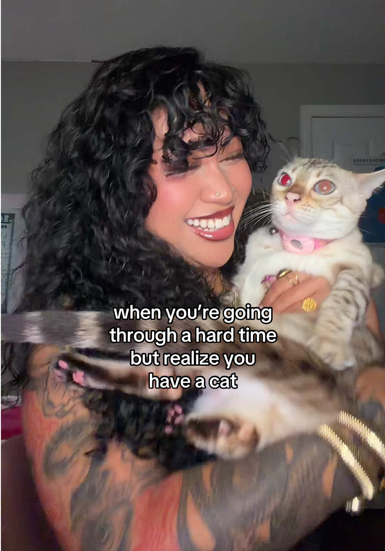 @Mirajane The Bengal🐾