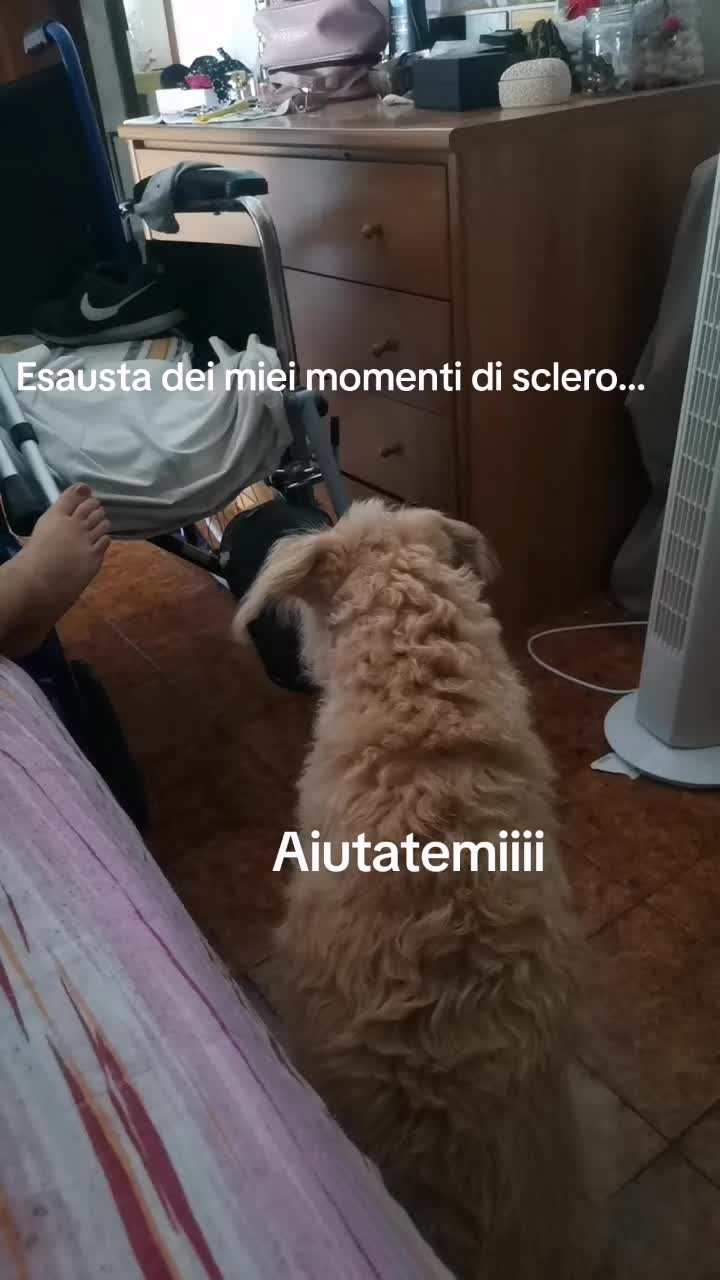 @Monia 🌹