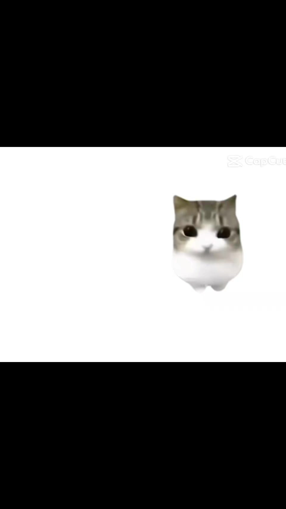 @y2k_p._