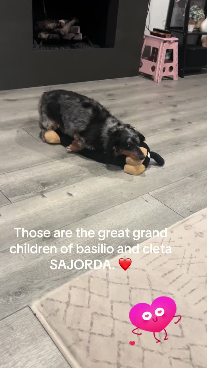 @Mae