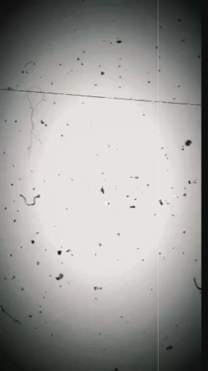 @spraycarpainter