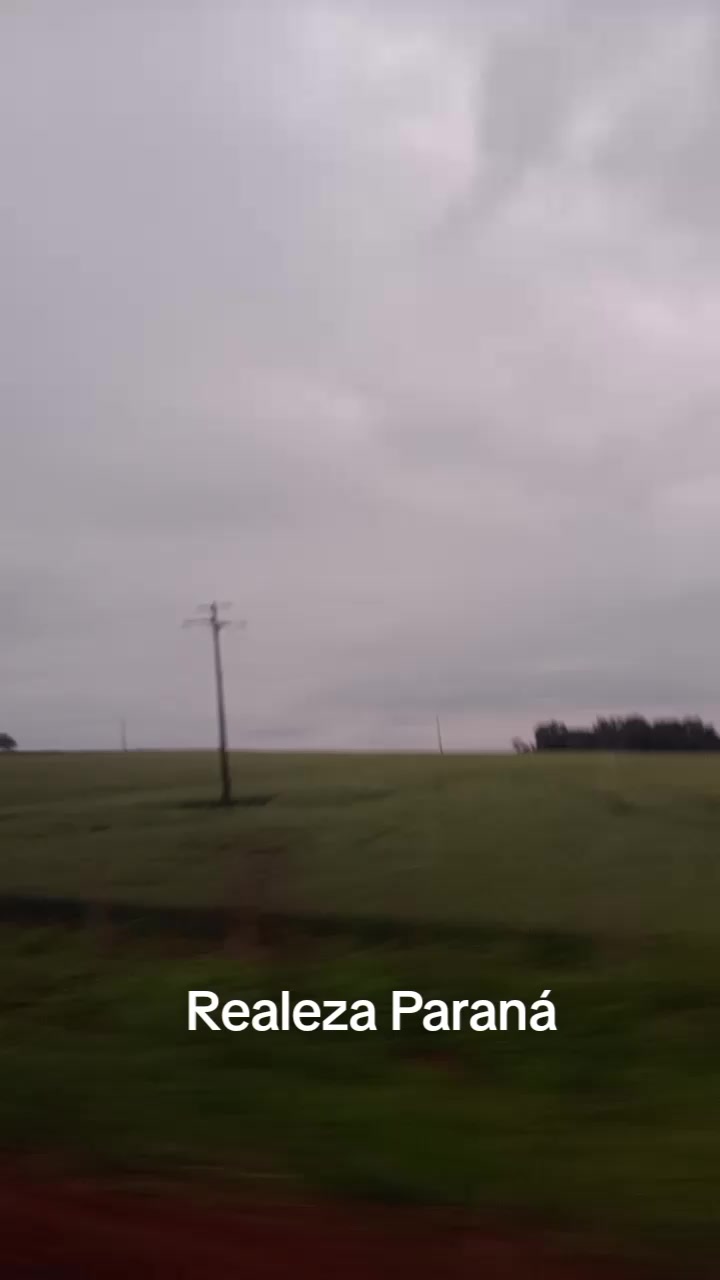 @Dalia Liesch