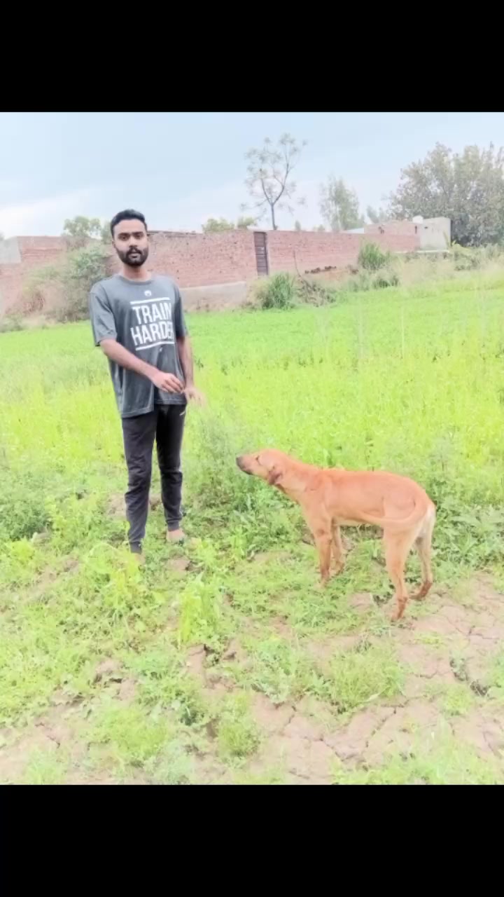 @💫سیٹھ اسد علی انصاری 💫