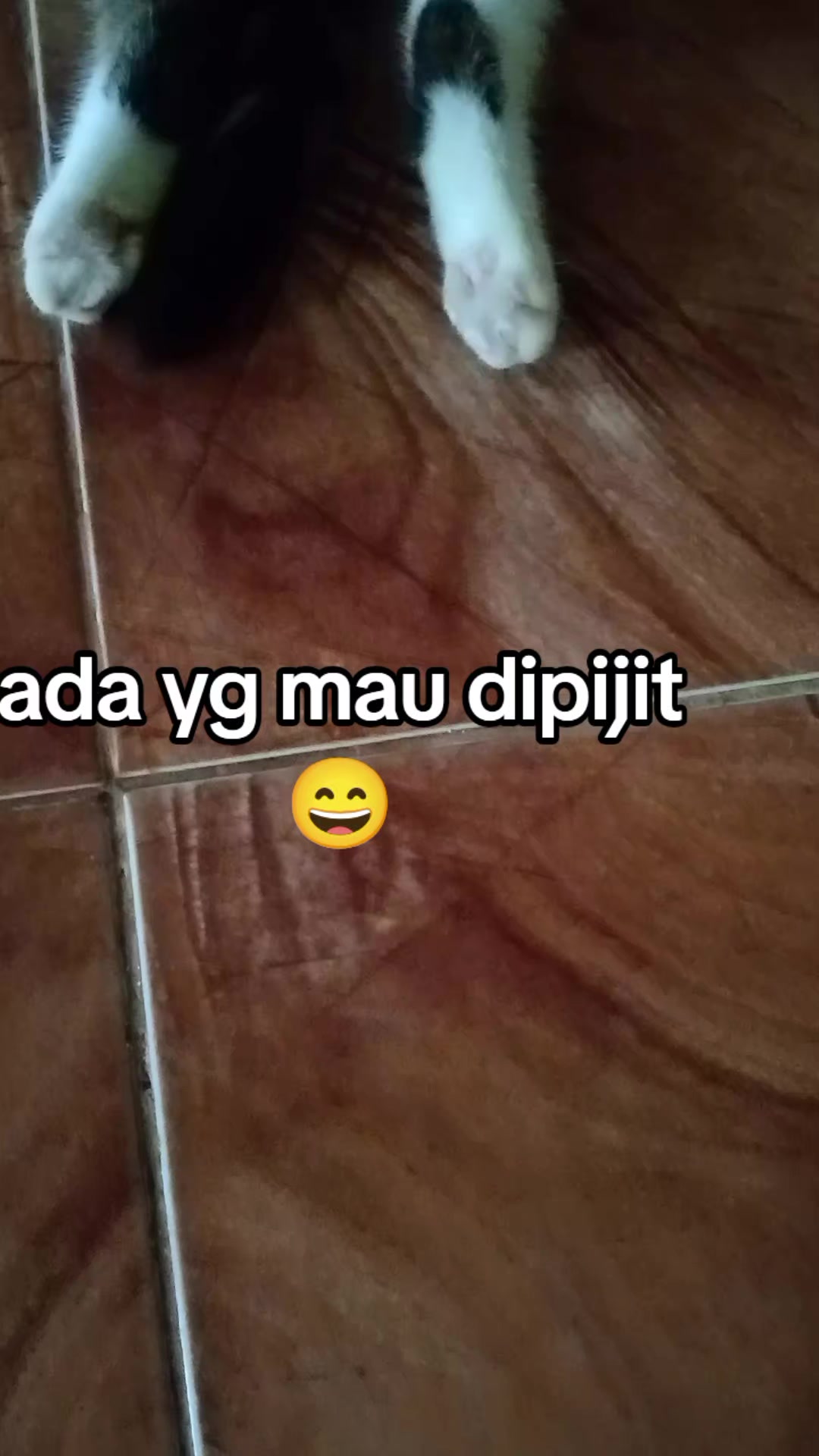 @Rizqi