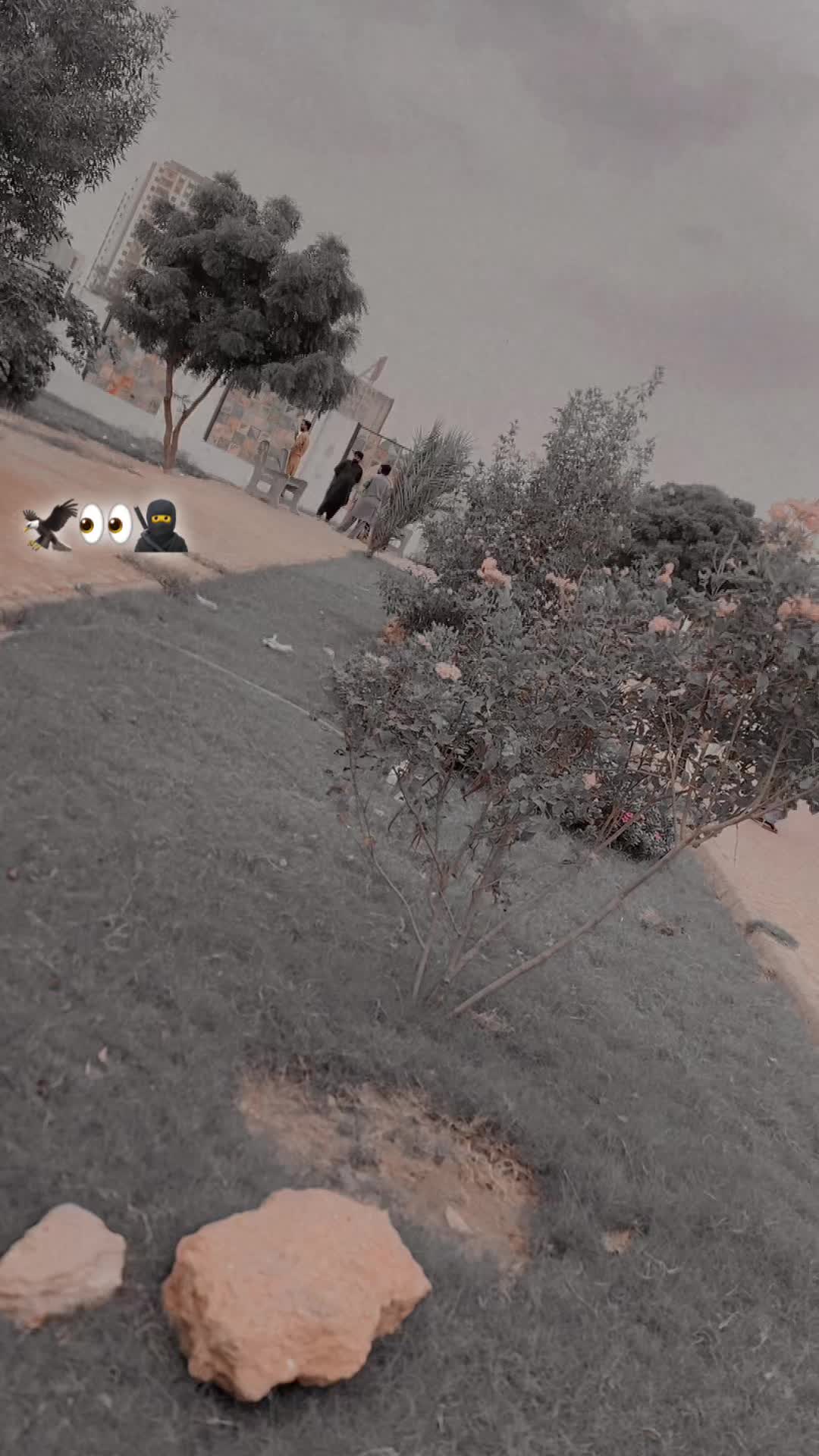 @|Z𝗂𝗱𝗱ꜞᵦǻc𝒉ɑ𒆜