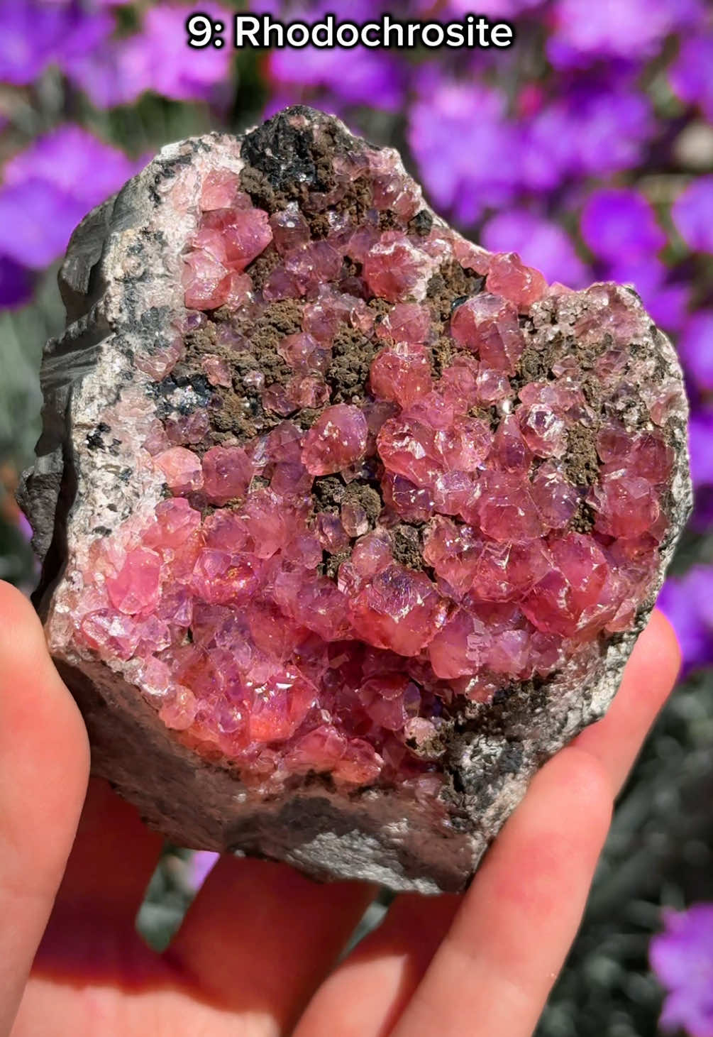 @Spirit Nectar Gems