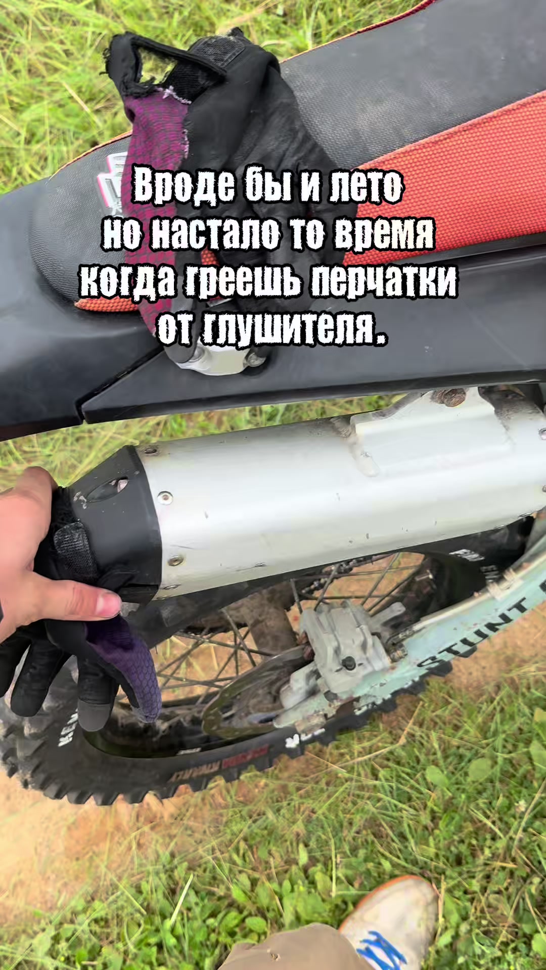 @Tgk:Московский Кайовод