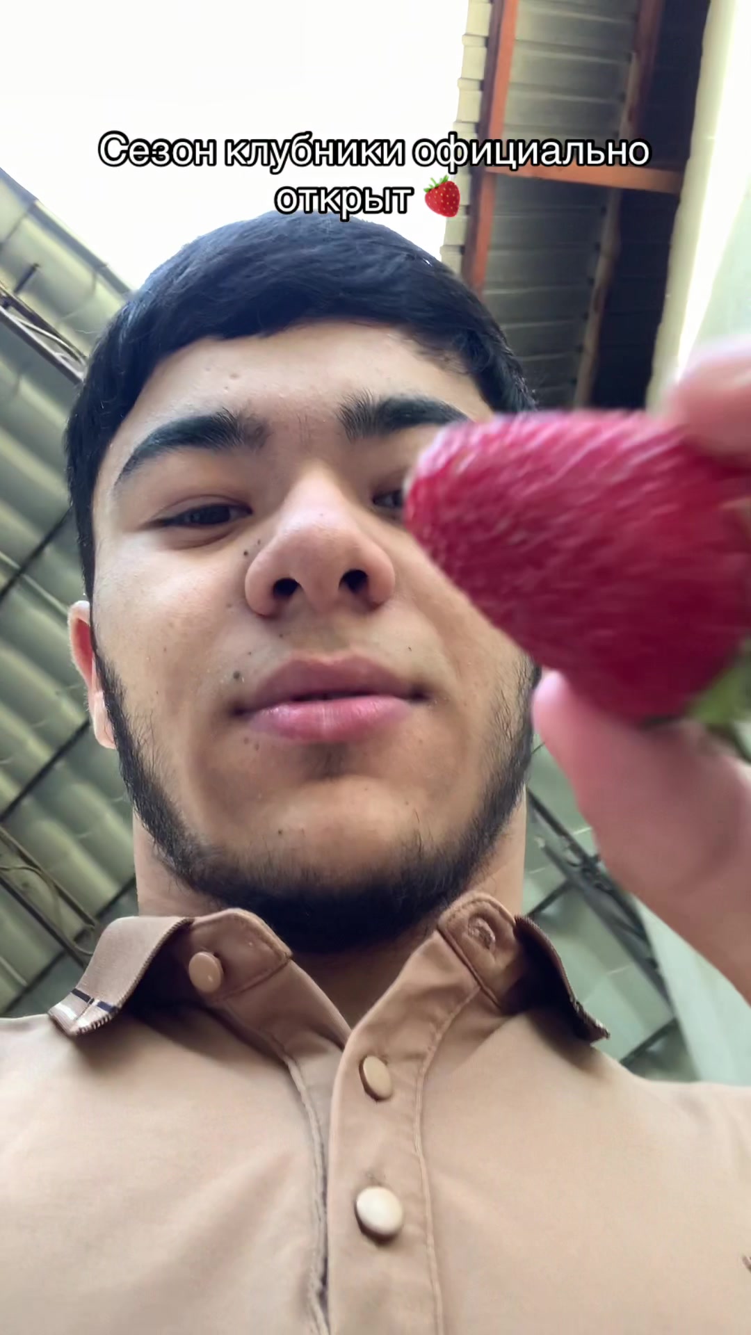 @wengallbi