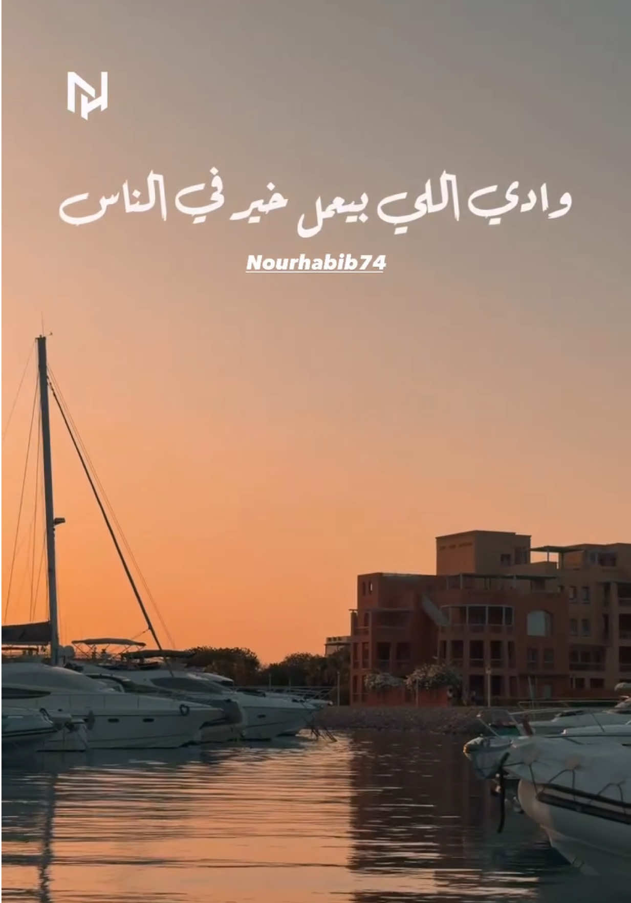 @NourHabib74
