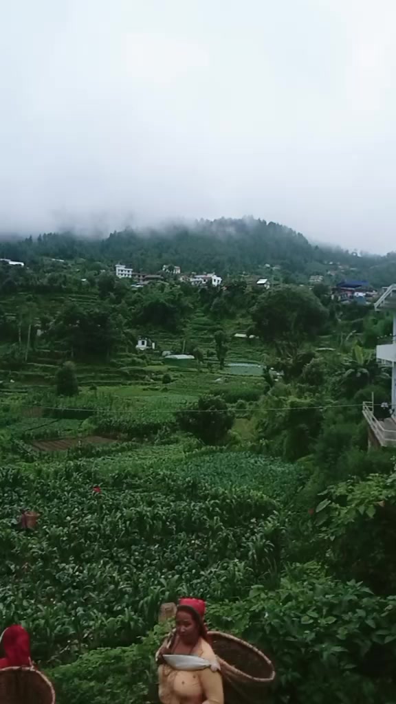 @bimala