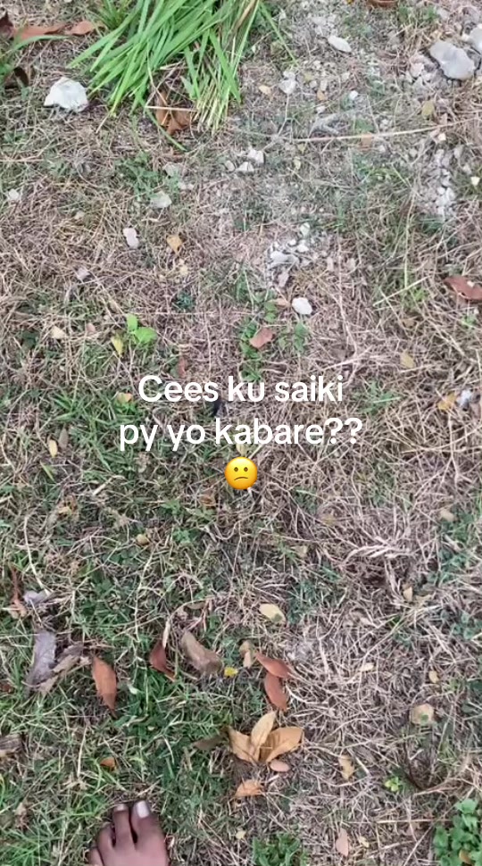 @X-ATR