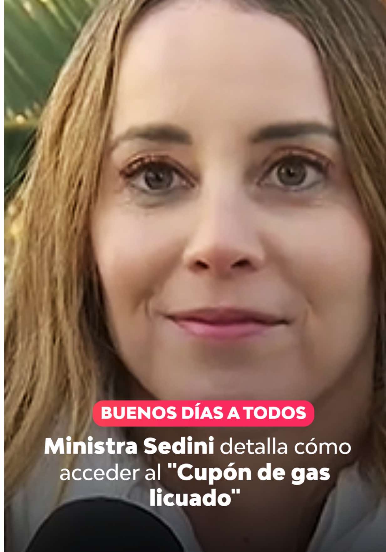 @Televisión Nacional de Chile