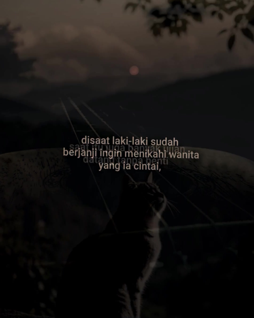 @𝐒𝐓𝐌 ALIF | | TV [𝘿𝙆𝙒𝙃]⚡