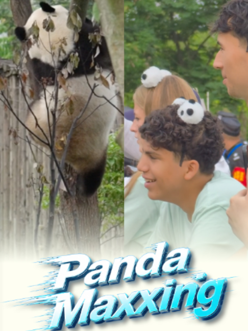 @iPanda