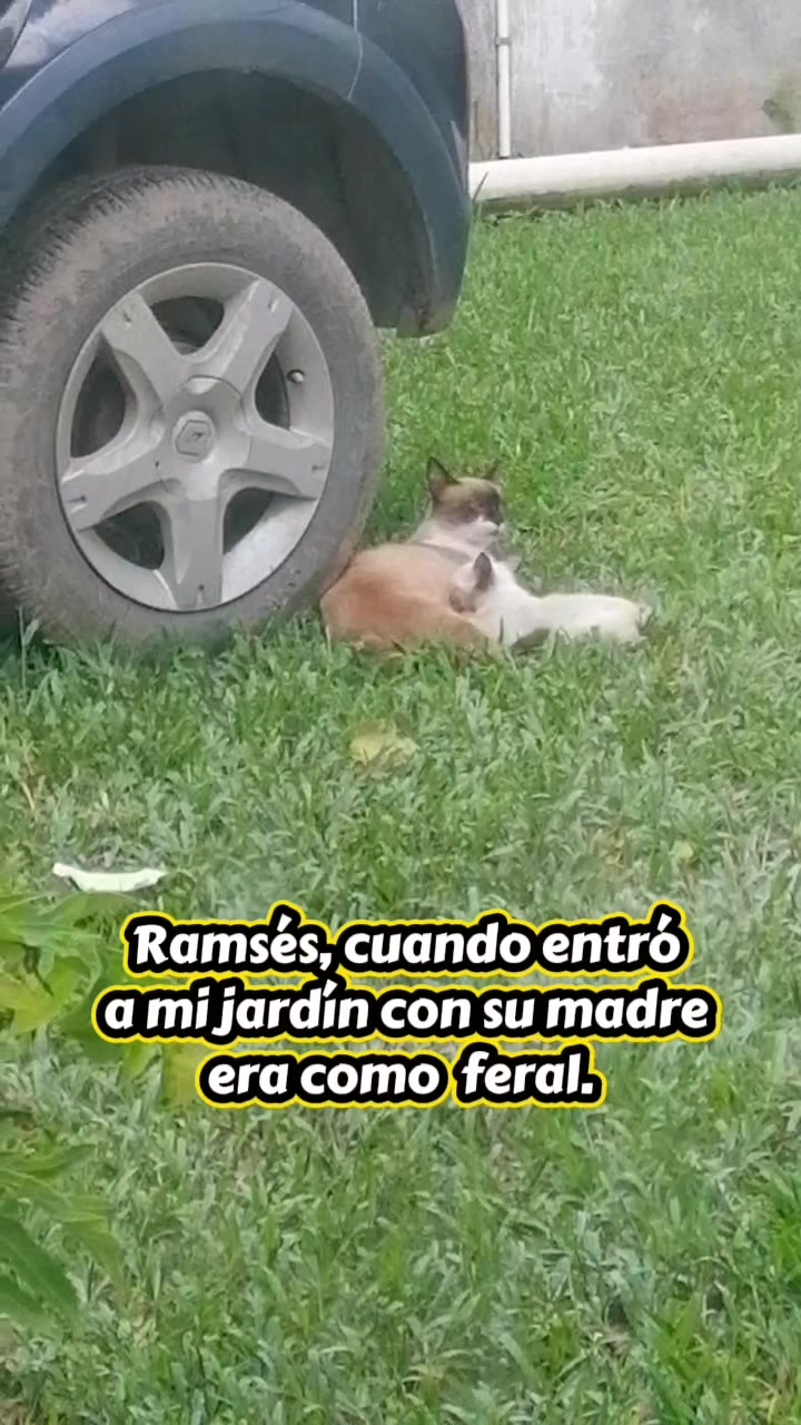 @Liliana Linares