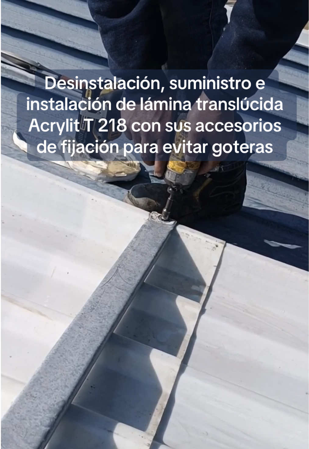 @PolicasaQro