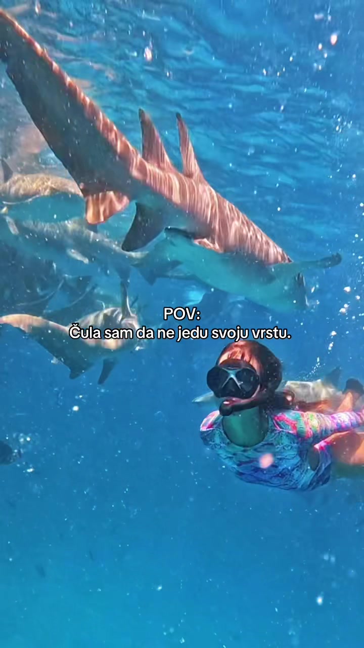 @Alisa
