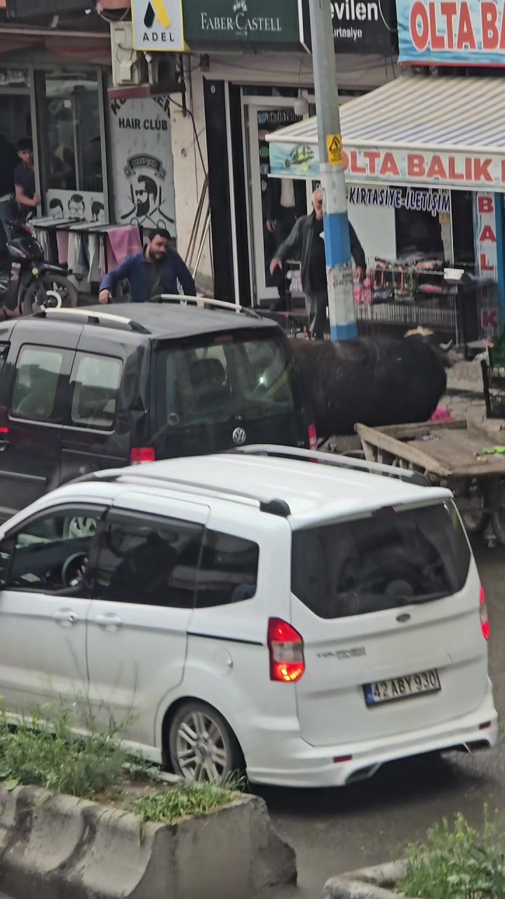 @Zabıta Erkan