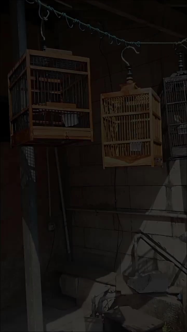 @๐๐๐๐๐, ๐๐๐๐๐๐๐