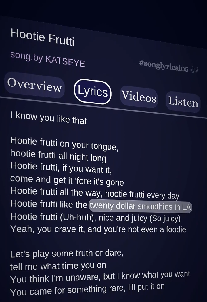 @songlyrical05