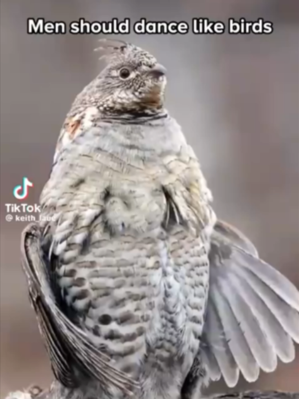 @Hínątą
