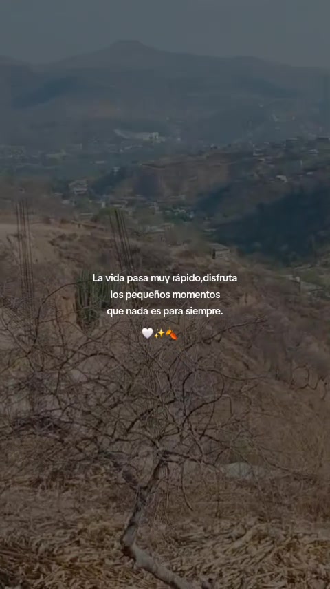 @Daniela Gc