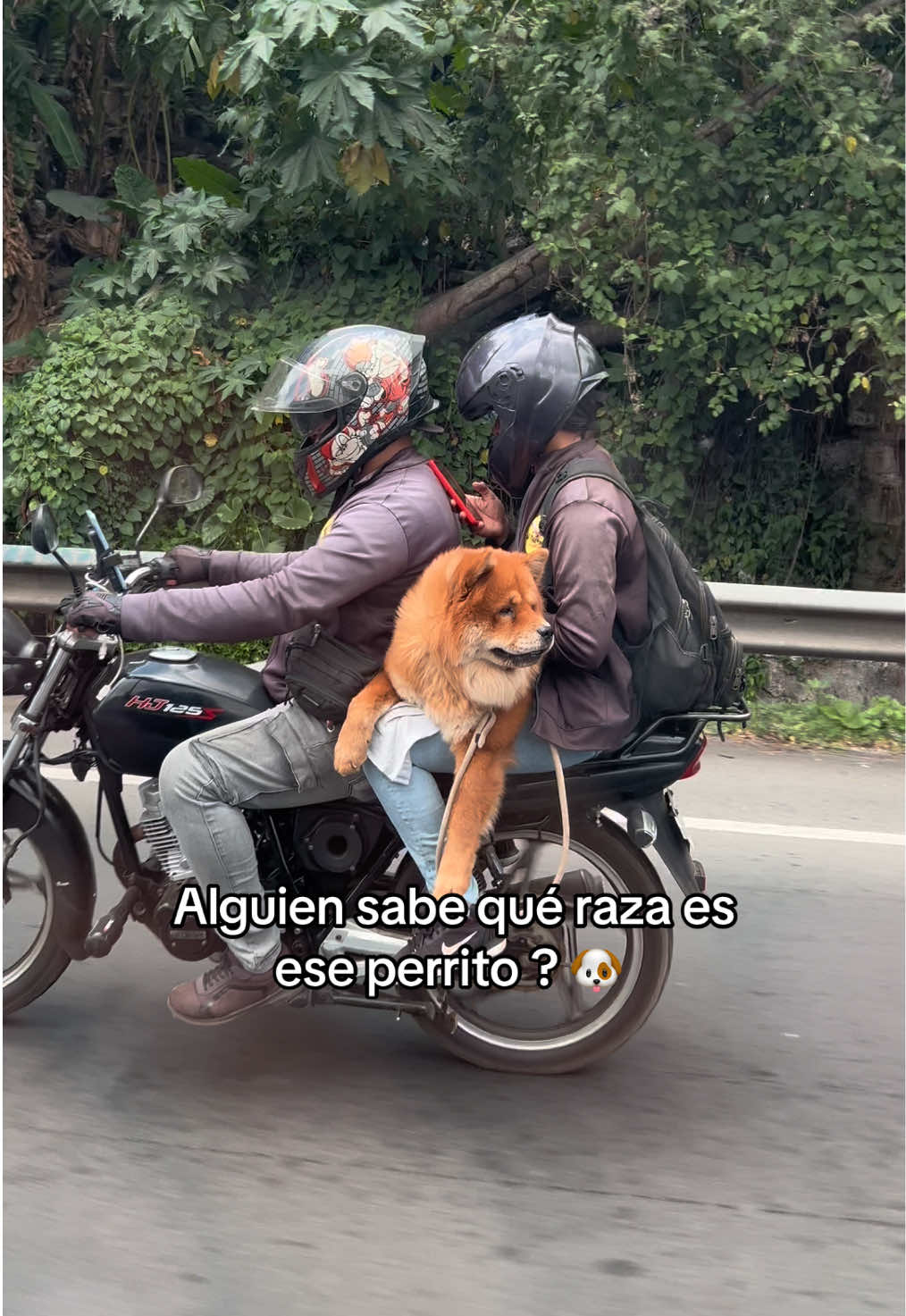 @EL INNOMBRABLE ✅