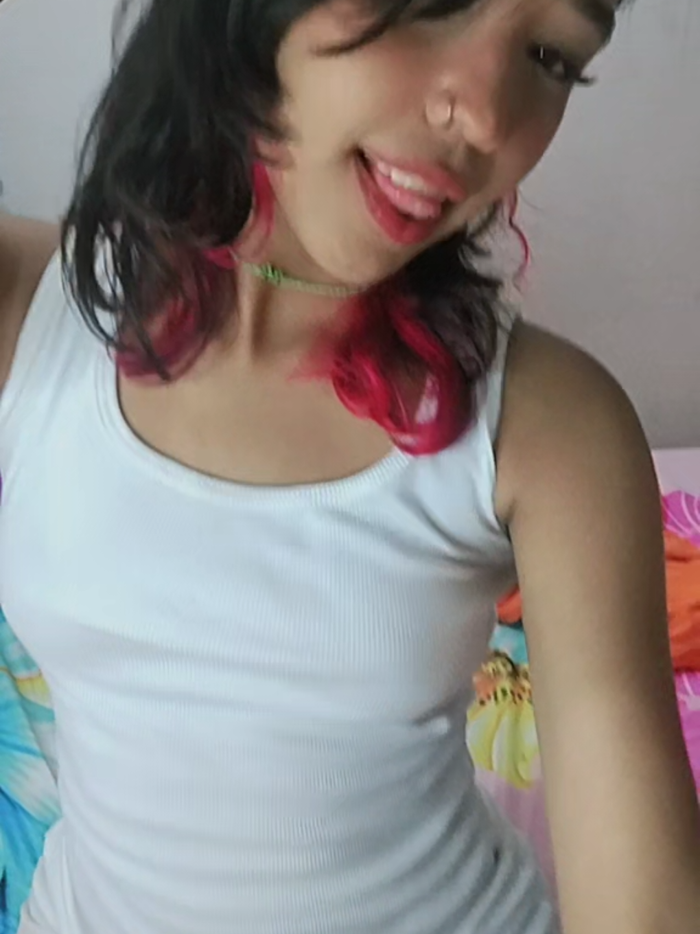 @carolaymichelld