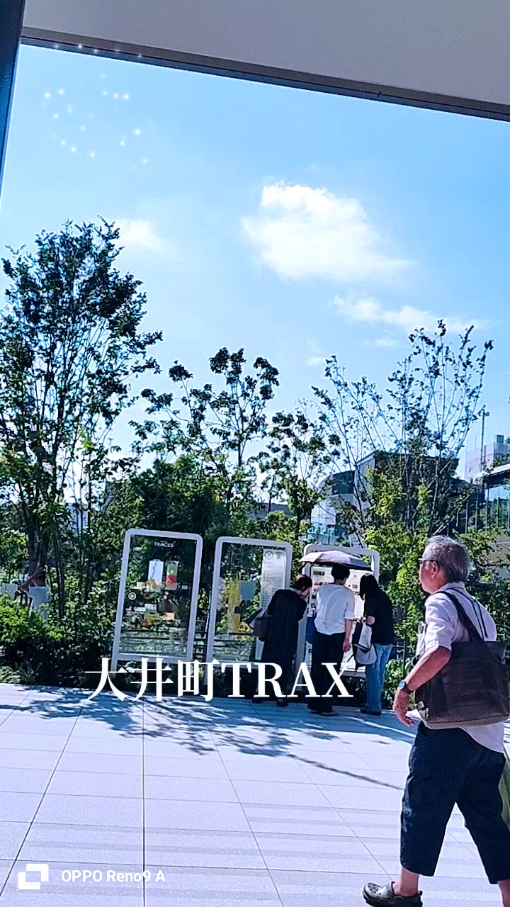 @🌿ありごれん🌿薬草🌿