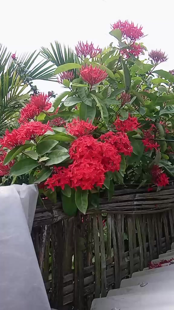 @Ranjeet Choudhari428