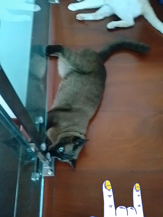@duangkamol24