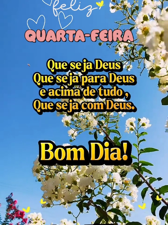 @Niube Resende💃👠📕🇧🇷🌻
