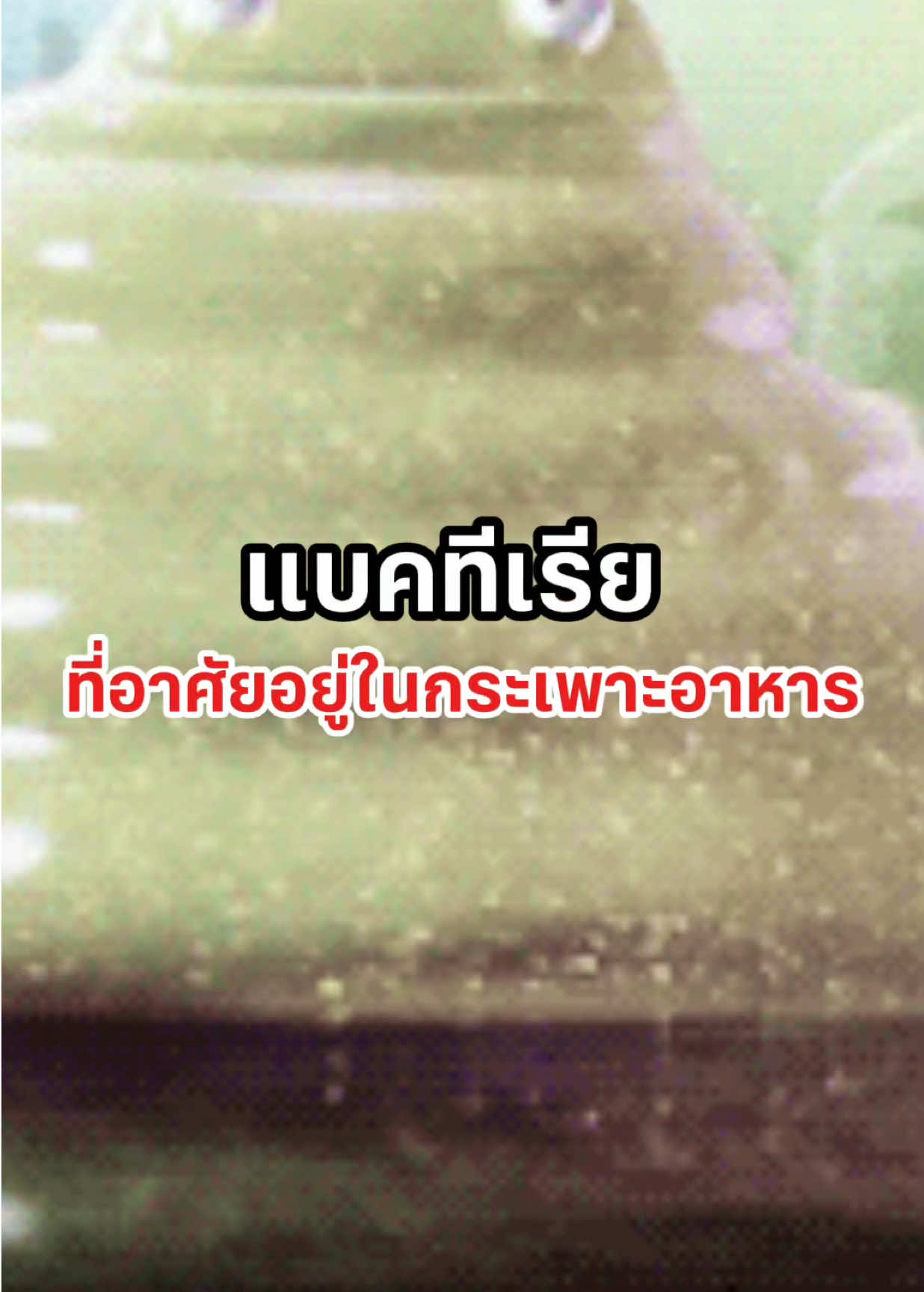 @HIP Biotech