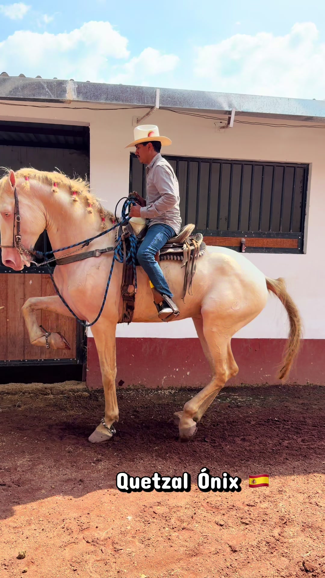@Rancho los Arcos