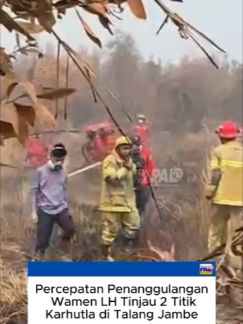 @Paltv-Memang Punyo Kito