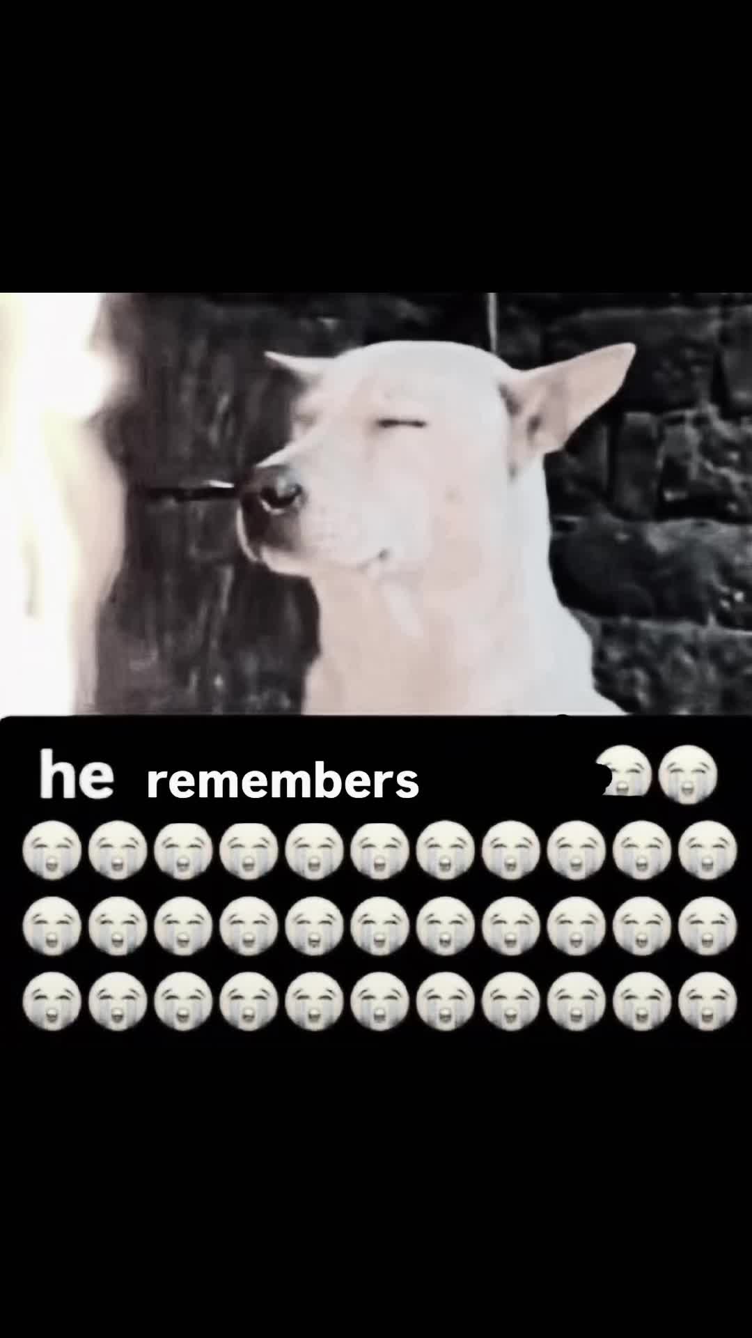 @naxa🤞🏻